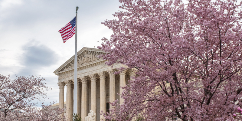 Supreme Court and Cherry Blossoms Supreme Court and Cherry Blossoms